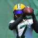 Made it (6): Davante Adams, Allen Lazard, Marquez Valdes-Scantling, Amari Rodgers, Devin Funchess, Juwann WinfreeDidn’t make it (6): Equanimeous St. Brown, Malik Taylor, Reggie Begelton, Chris Blair, Bailey Gaither, DeAndre ThompkinsWhy: As big-bodied receivers, it could be a battle between Funchess and St. Brown for a spot on the roster. Funchess dropped too many passes at Carolina, missed the final 15 games of the 2019 season in Indianapolis with a broken collarbone and opted out of the 2020 season in Green Bay. But St. Brown hasn’t exactly lit the world on fire, either, in his three seasons. Blocking could be the deciding factor. Winfree had a strong set of offseason practices to potentially topple Taylor for the final spot.